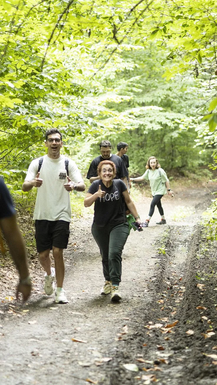 Group hiking through forest trees